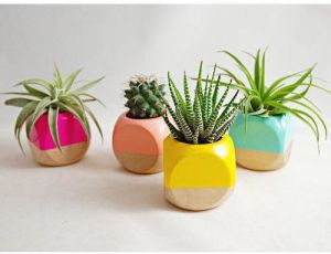 Mini Geometric Planter