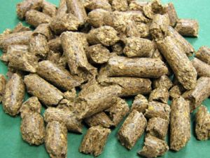 Buffalo Cattle Feed Pellets