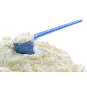 Dairy Skimmed Milk Powder