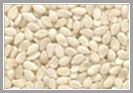 Hulled White Sesame Seed