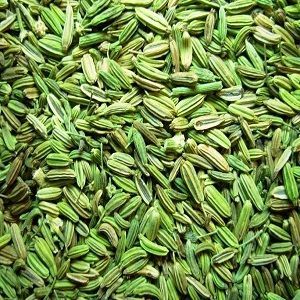 Fennel Seed Oil