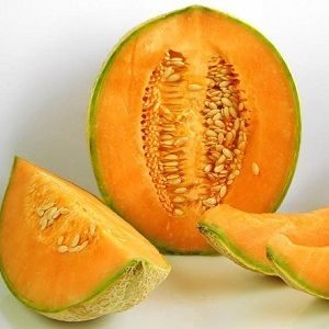 muskmelon oil