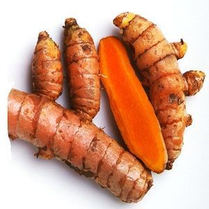 Turmeric Root Oil