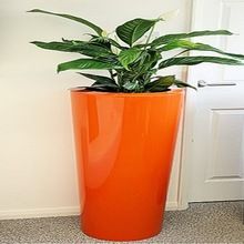 Handmade Planter