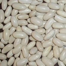 White Kidney Beans Long Shape