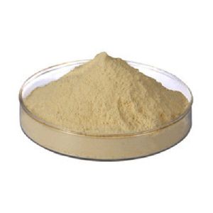 Protein Hydrolysate Powder