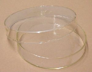 Pyrex Petri Dish
