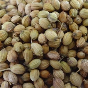 Coriander Seeds