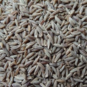 Cumin Seeds