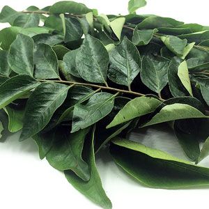 Curry Leaves