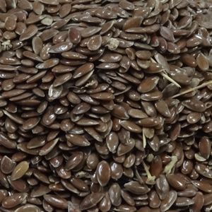 Flax Seed