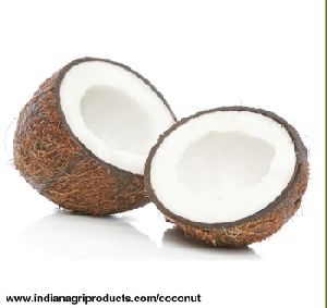 Matured Coconut