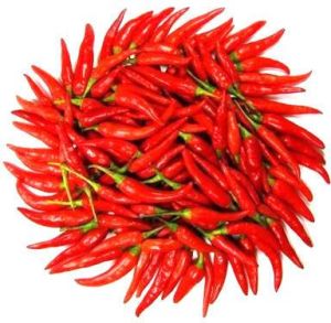 organic red chilli