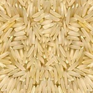 Parmal Brown Rice