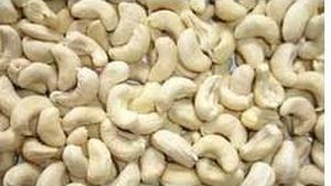 Plain Cashew Nuts