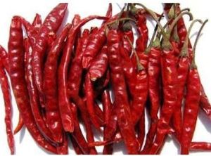 Teja Dried Red Chilli