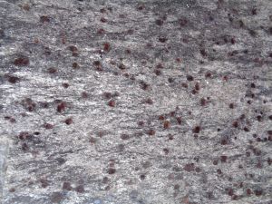 Ruby Galaxy Granite