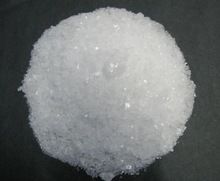 Lead Acetate