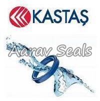 Kastas Hydraulic Seal