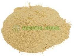 Giloy Extract Powder