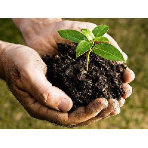 Compost Based Organic Fertilizer
