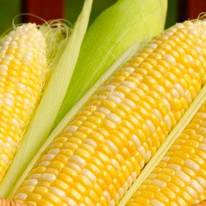 corn products