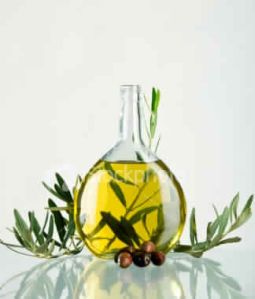 Cypriol Oil