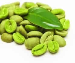 Green CoffeeExtract