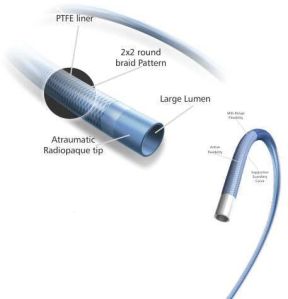 PROCTRA GUIDING CATHETER