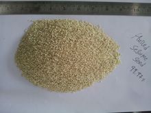 Hulled White Sesame Seed
