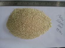 Psyllium Husk