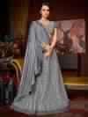 Indian Women Grey Color Net And Jacquard Fabrib Lehenga Style Saree