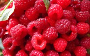 Frozen Raspberry