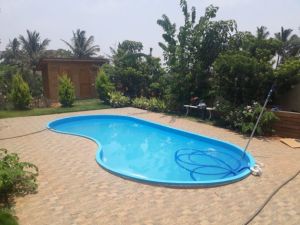 Bean shaped Swimming Pool