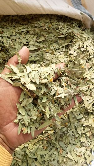 Dry Senna Leaves