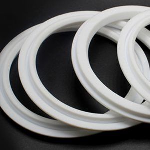 PTFE Enveloped Seal