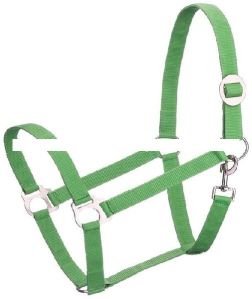 Horse Halter