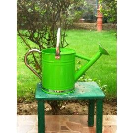 Watering Can in Green with stainless steel spout and handle