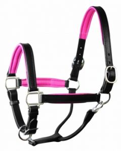 Leather Horse Halter