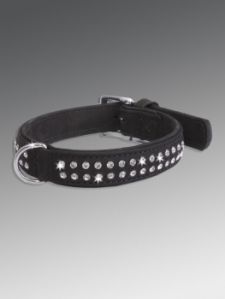 puppy collars