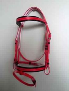 Pvc Bridle