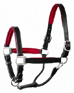 Red Horse Headcollar