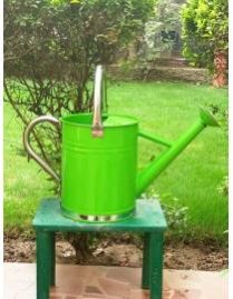 4 L Watering Can in Green with stainless steel spout and handle