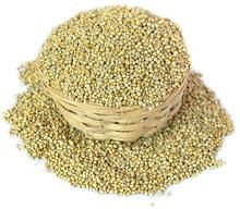 Pearl Millet