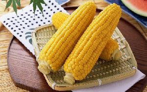 Frozen Sweet Corns