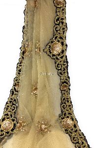 Golden Net Dupatta, Velvet Border n Gold Embroidery