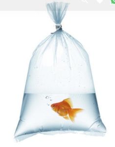 Fish Packaging Bags