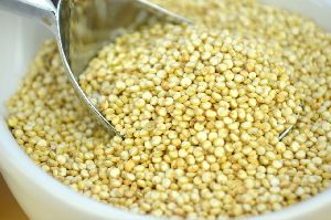 Organic Quinoa Seeds