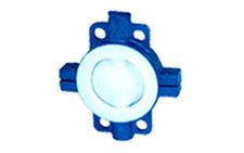 Butterfly Valve