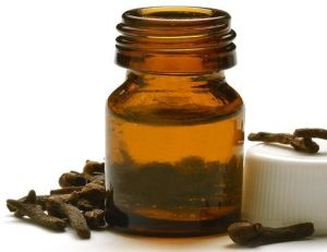 clove bud essential oil